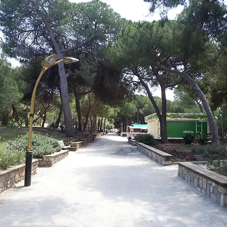 T2 La Palmeraie Antibes